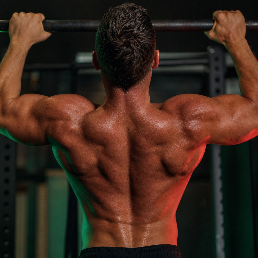 Musculation